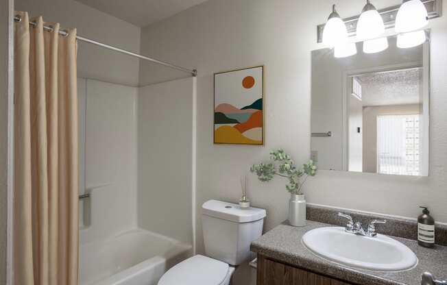 Studio Bathroom at River Oaks Apartments in Tucson