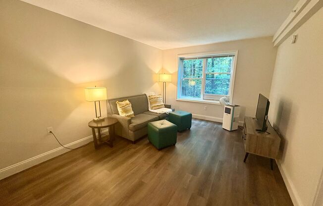 1 bed, 1 bath, 545 sqft, $1,900, Unit 208