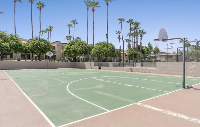 a basketball court