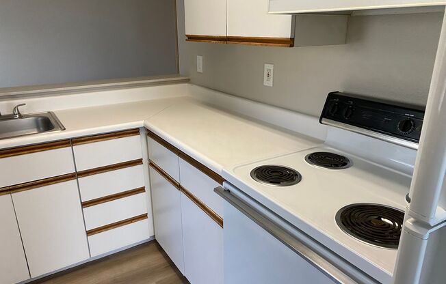 Studio, 1 bath, 441 sqft, $1,400, Unit 313