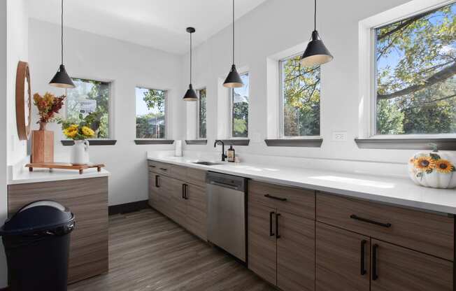 a kitchen with wooden cabinets and a large sink and windows