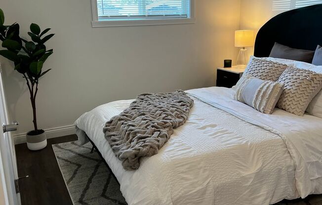 2 beds, 1 bath, 950 sqft, $1,175, Unit 3034-3