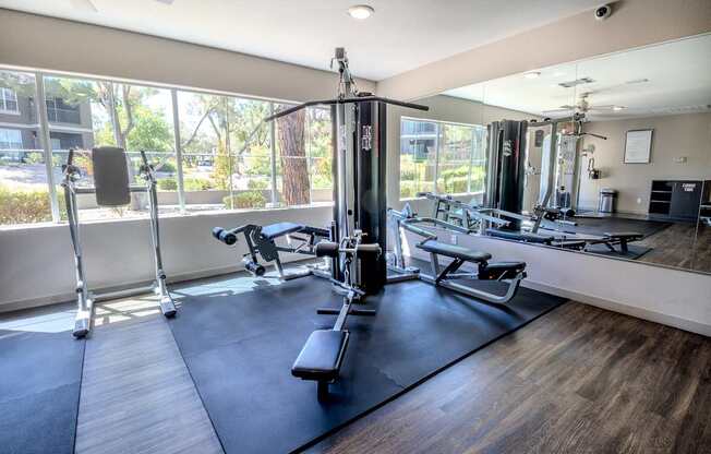 A gym with a variety of equipment including a squat rack, bench press, and a mirror.