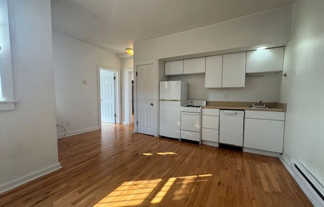 3530 Louisa Street, South Oakland, PA 15213