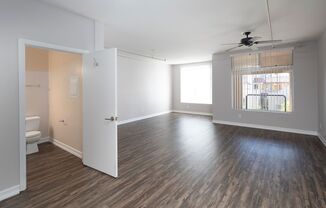 Studio, 1 bath, 800 sqft, $1,995, Unit 320