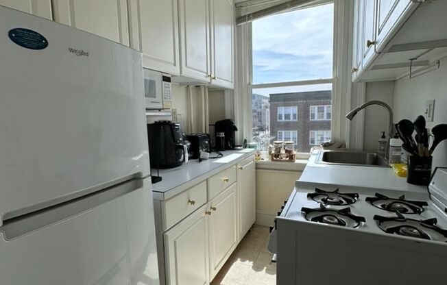1 bed, 1 bath, 500 sqft, $2,450, Unit 41