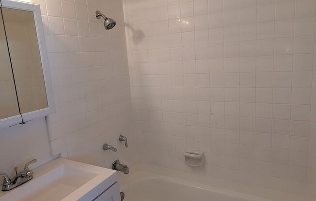 1 bed, 1 bath, $1,795, Unit 3843-8