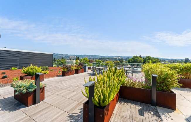 a roof terrace with plants and a view of the city