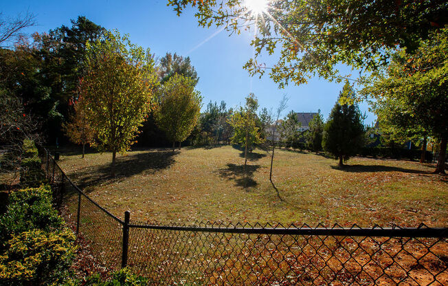 a fenced yard with trees and a chain link fence