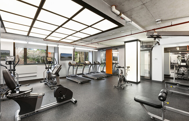 Studio, 1 bath, $4,228, Unit 1_205