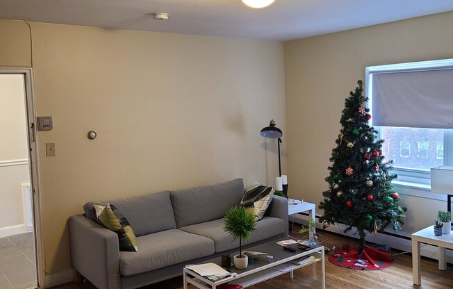 2 beds, 1 bath, $3,050, Unit 7