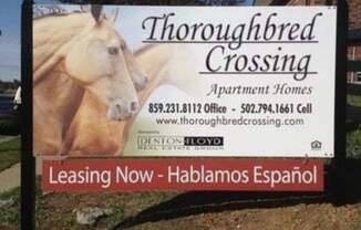 Thoroughbred Crossing