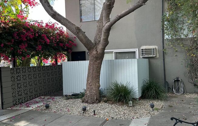 1 bed, 1 bath, 700 sqft, $2,095, Unit 1