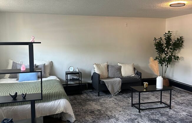 Studio, 1 bath, 450 sqft, $845, Unit 262-2