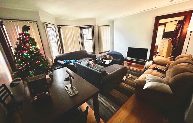 1039 Baldwin - Varsity Management