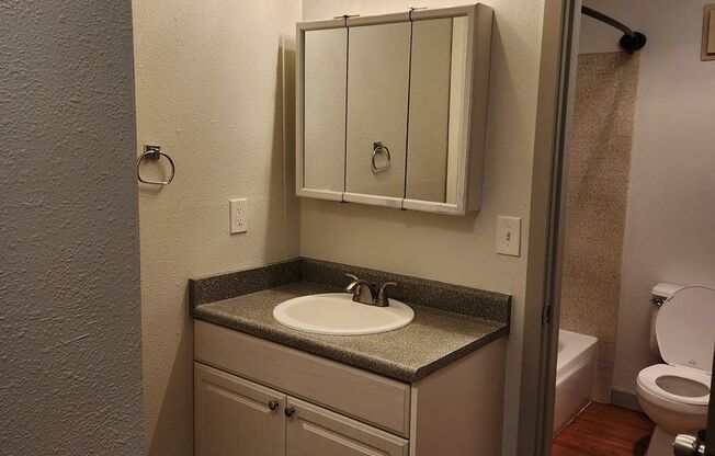 Studio, 1 bath, 522 sqft, $1,375, Unit 123