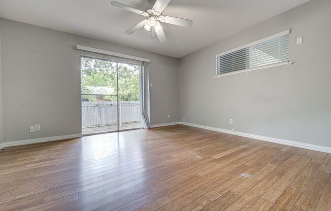 Updated 3/2 Hyde Park Home in Prime Location