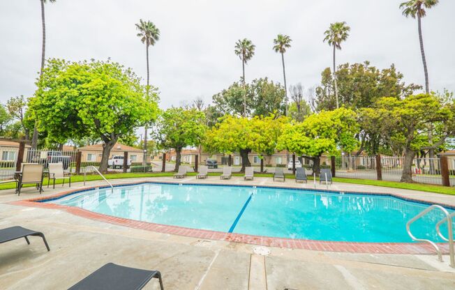 1 bed, 1 bath, 480 sqft, $1,895, Unit 009#B41