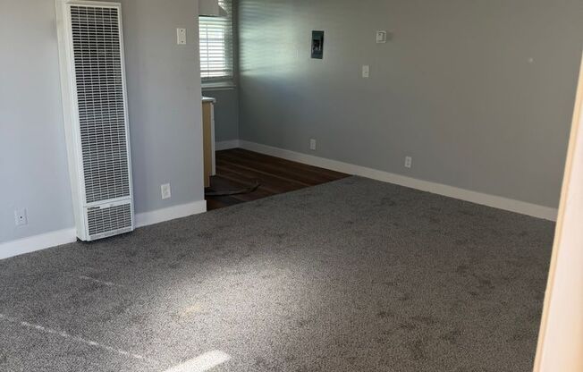 540 - 2970 Magliocco
