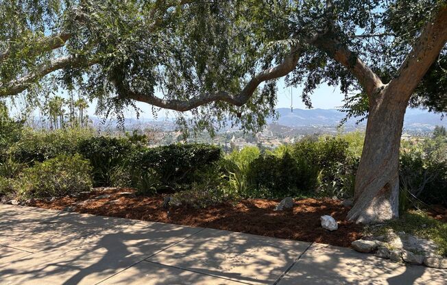 Mt Helix Custom Home with Panoramic Views For Lease