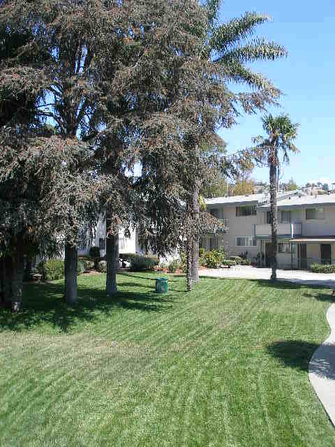 2 beds, 1.5 baths, 900 sqft, $2,350, Unit 706