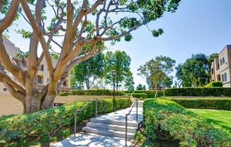 Greenery at Nobel Court, California