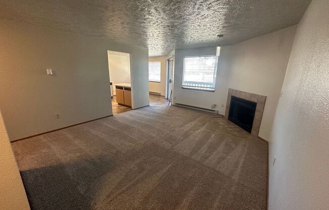 2 beds, 1 bath, $1,000