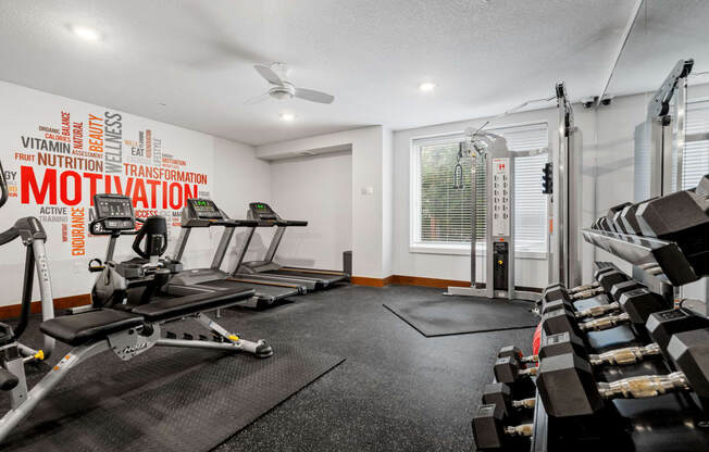 the gym at 1861 muleshoe road has weights and cardio machines and a window