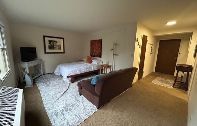 Studio, 1 bath, 423 sqft, $1,175, Unit 214