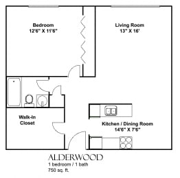 1 bed, 1 bath, 750 sqft, $1,328