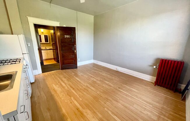 Studio, 1 bath, 259 sqft, $700, Unit 304