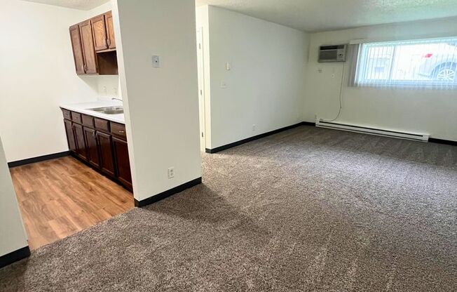 1 bed, 1 bath, $700, Unit 104