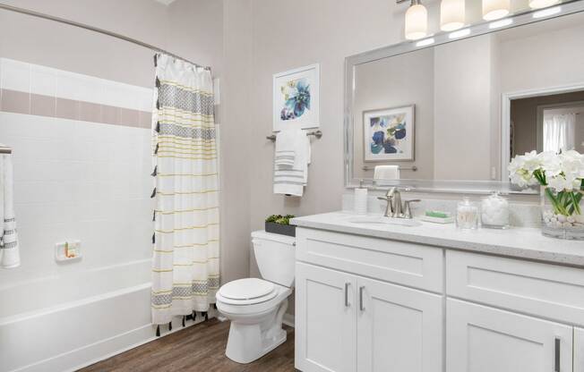 803 Corday at Naperville - Modern Bathroom with Shower, Large Vanity, and Modern Lighting Fixtures