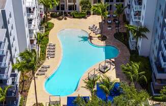 A swimming pool surrounded by palm trees and lounge chairs.
