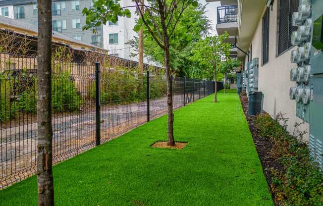 a grassy area with trees and a fence on the side of a building