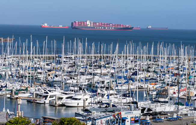 A large container ship is in the distance at a busy marina.