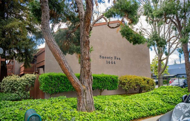 1444 Snooty Fox Apartments