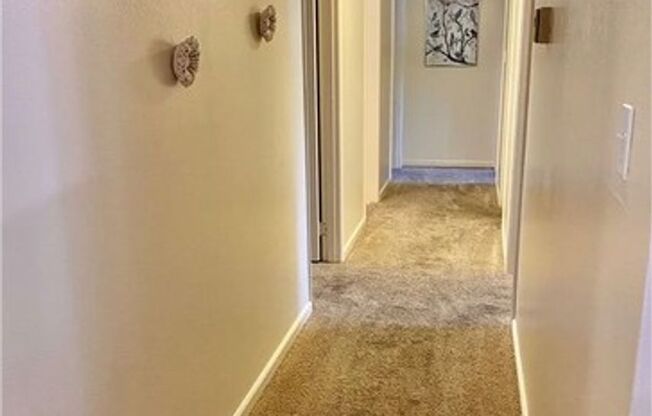 1 bed, 1 bath, $920, Unit #100