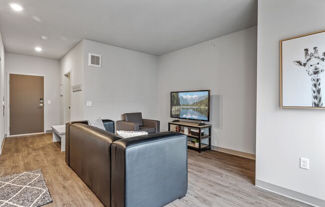 1 bed, 1 bath, 553 sqft, $1,550, Unit 303
