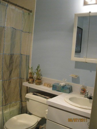 2 beds, 2 baths, 1,000 sqft, $3,900, Unit 1002