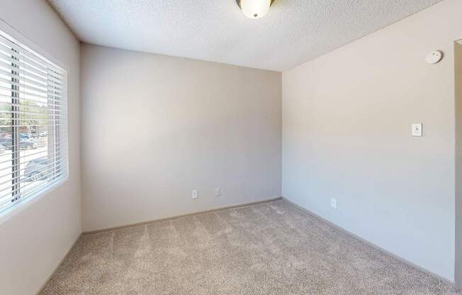 A room with a carpeted floor and a window with blinds.