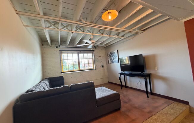 Tracy Lofts
