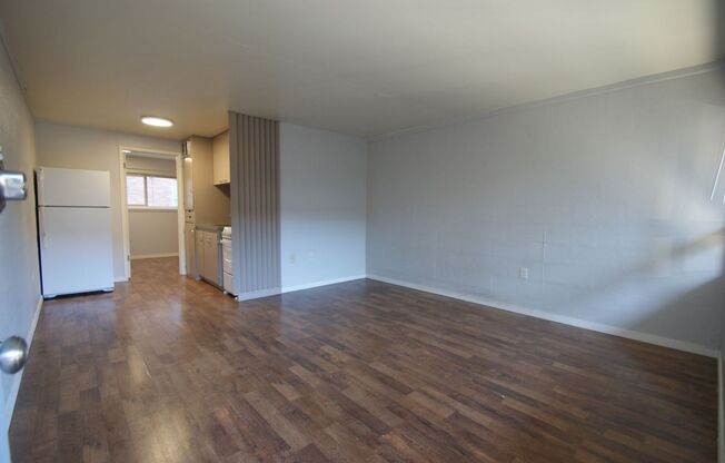 1 bed, 1 bath, 393 sqft, $1,195, Unit 215