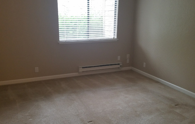 1 bed, 1 bath, $1,995