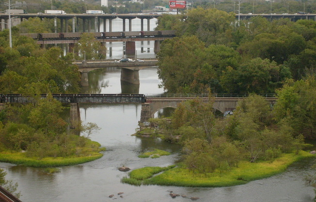 1 bed, 1 bath, $1,600