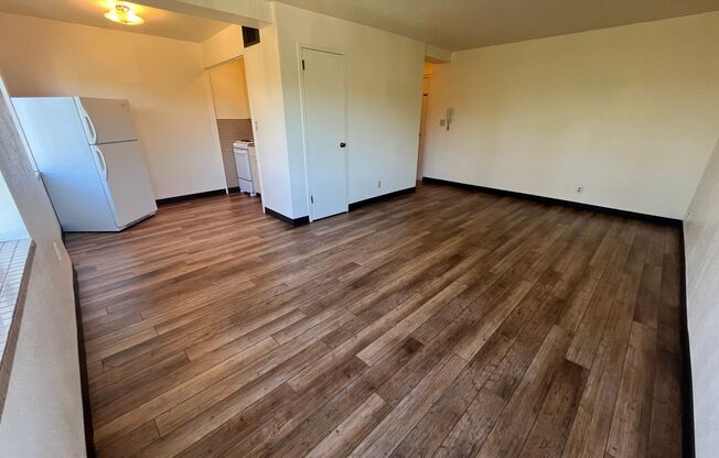 Studio, 1 bath, 390 sqft, $1,250, Unit 608