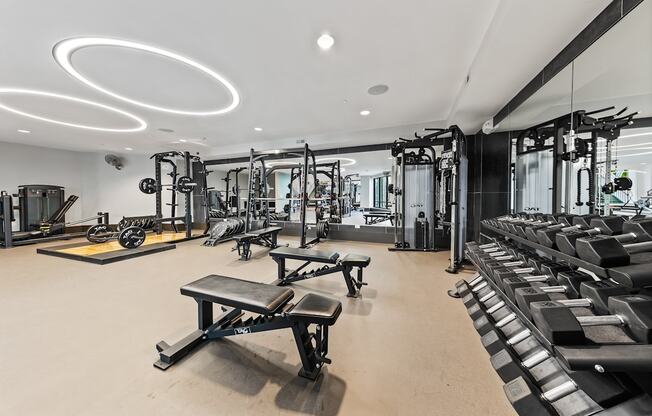 A well-equipped gym with various fitness machines and weights