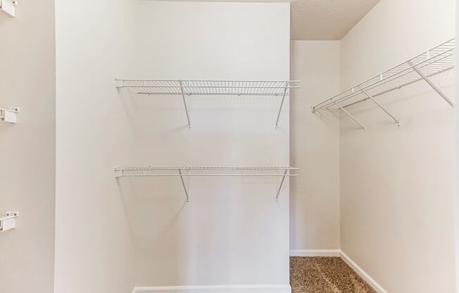 Walk-In Closet With Built-In Shelving