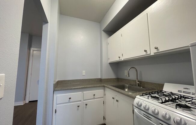 Studio, 1 bath, 300 sqft, $1,230, Unit 308