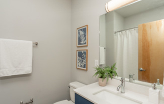 Studio, 1 bath, 429 sqft, $950, Unit Unit 204 West 26th